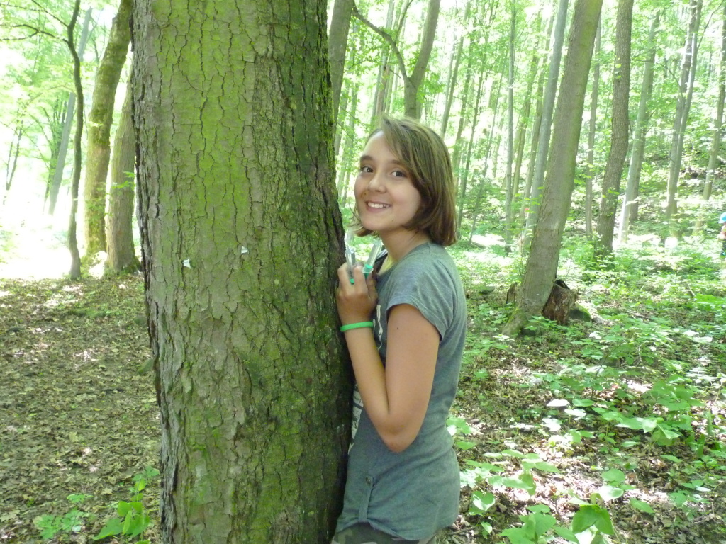 Spálovská mafie