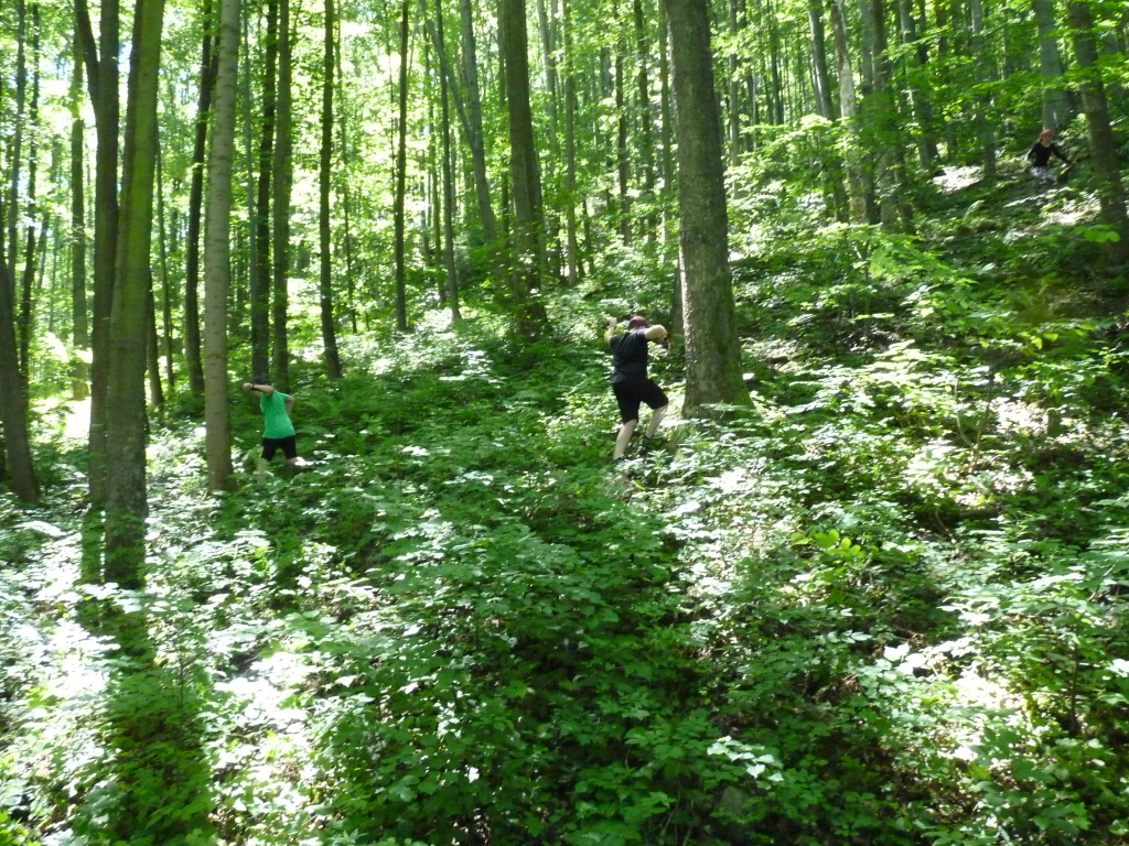 Spálovská mafie