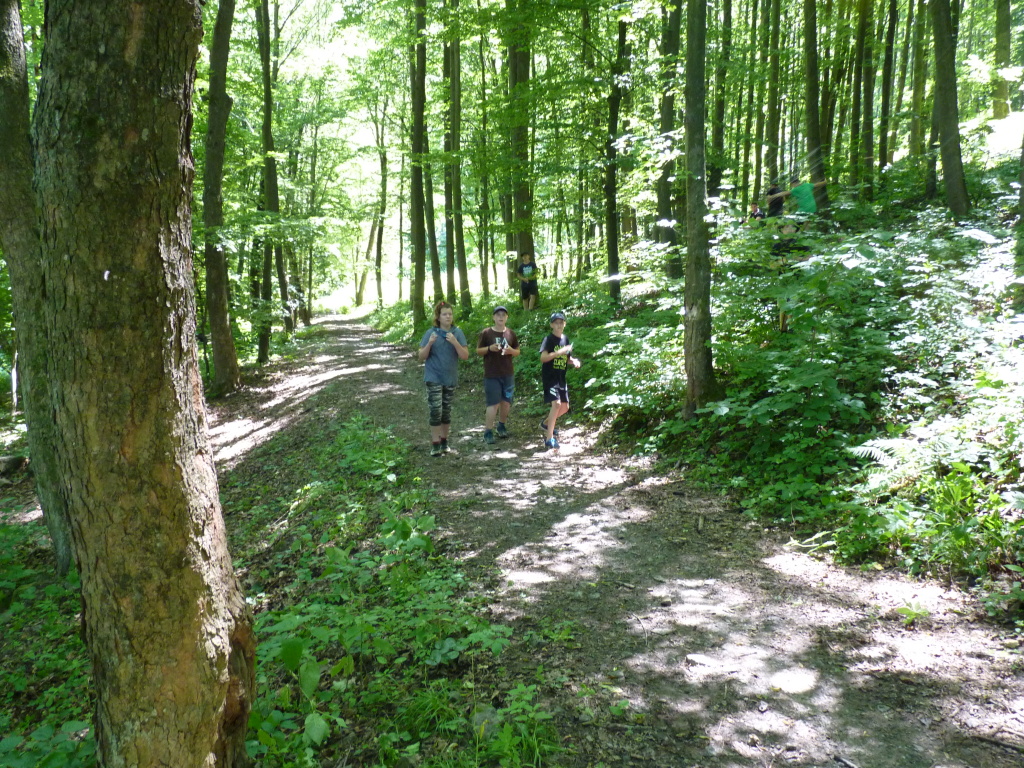 Spálovská mafie