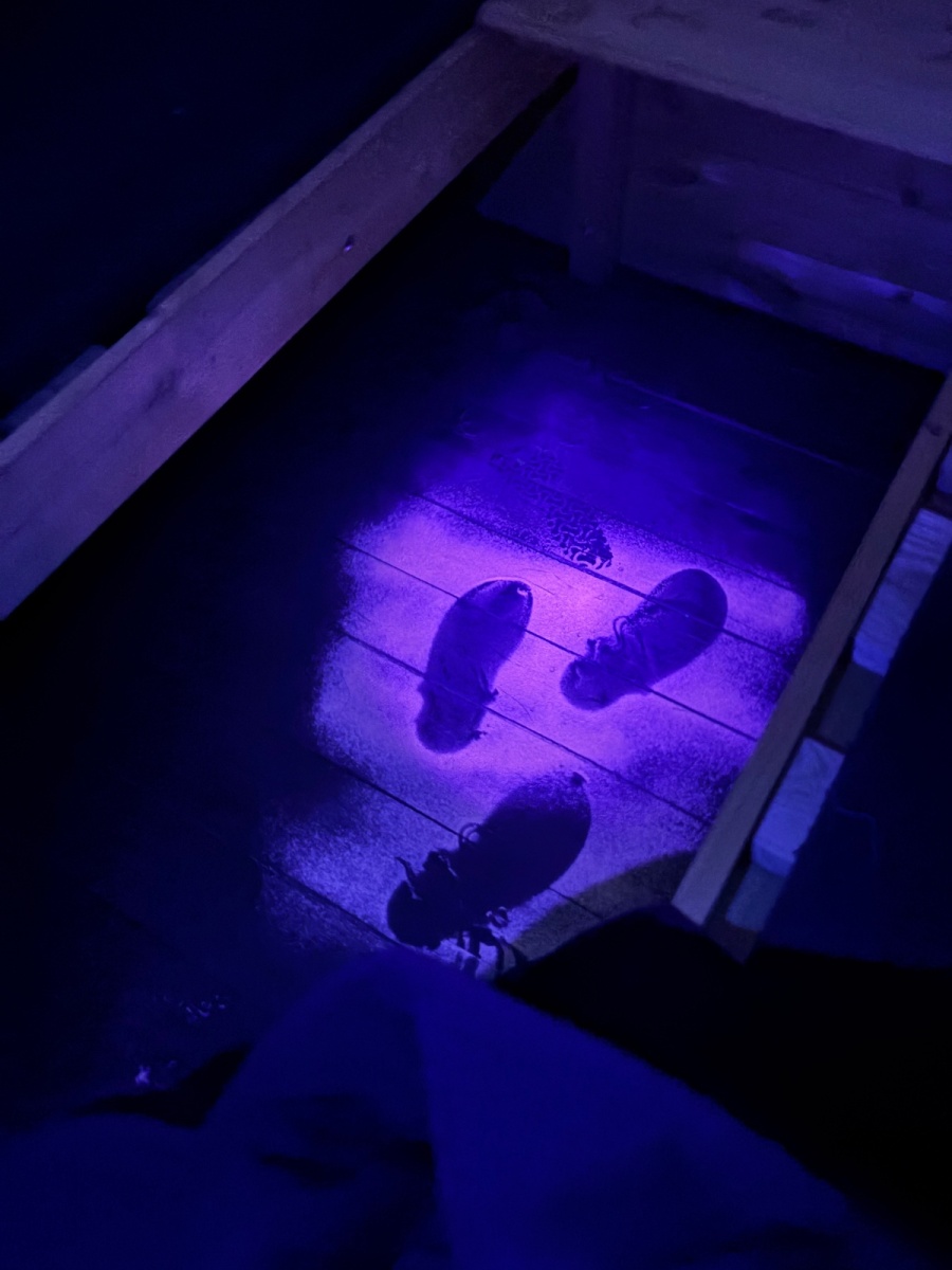 Operace: Radost