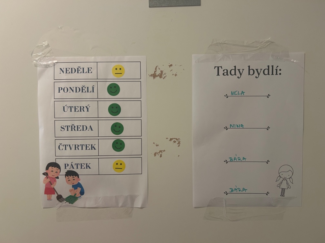 Operace: Radost